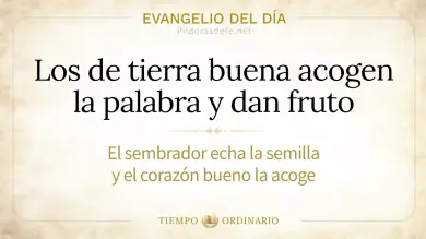 Evangelio de hoy Sábado 19 de septiembre 2026: Lucas 8,4-15